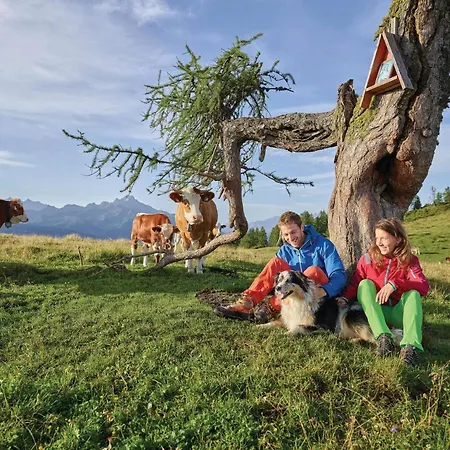 Appartement Big Wilten With Free Parking- And Peaceful