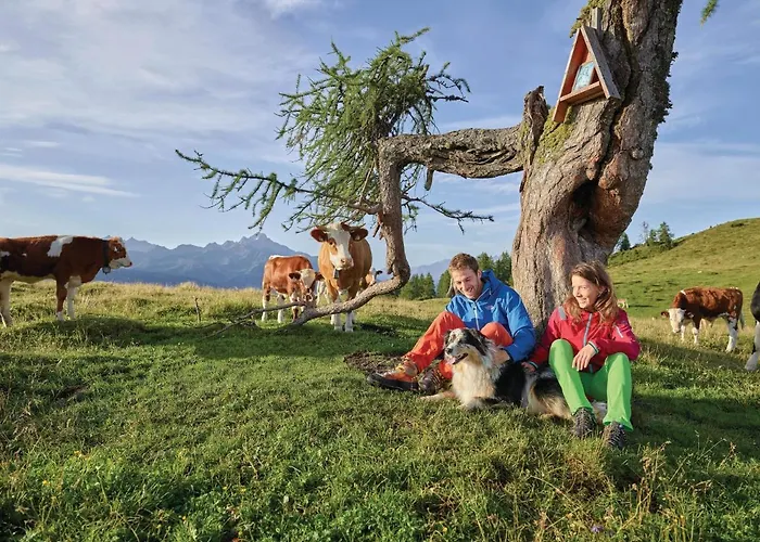 דירה Big Wilten With Free Parking- And Peaceful